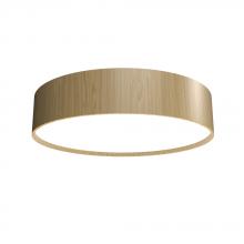  504LED.45 - Cylindrical Accord Ceiling Mounted 504 LED