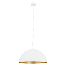  204322A - Rafaelino 1-Light Pendant