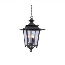  404150AI - Saddlebrook Large Hanging Lantern