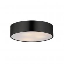  10496WTBK - Tommy-Flush Mount