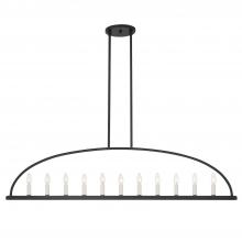  ABB-3009-BK - Abbott 11 Light Black Linear Chandelier