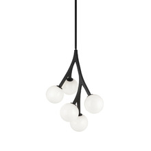  C81505BKOP - Rami Chandelier