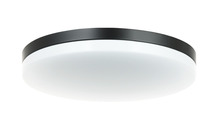  M12002BK - Orion Ceiling Mount