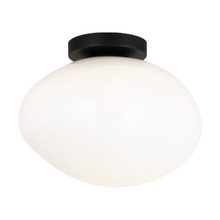  WX63611BKOP - Melotte Wall Sconce/Ceiling Mount