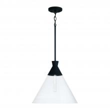  350311XK - 1 Light Pendant