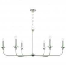  448961BN - 6 Light Chandelier