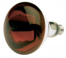  S4884 - 250 Watt R40 Incandescent; Red Heat; 6000 Average rated hours; Medium base; 120 Volt; Shatter Proof