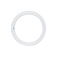  S6507 - 30 Watt; T9; Circline Fluorescent; 3000K; Soft White; 82 CRI; 4-Pin base