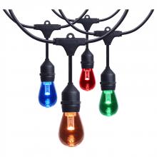 Satco Products Inc. S8031R1 - 24 Foot LED String Light; 12-S14 Lamps; Medium Base; RGBTW; Infrared Remote; Black; 120 Volt