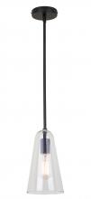  IPL1144A01BK - LUISA 60-Watt 1 Light Black Mid Century Modern Pendant with Clear Glass Shade