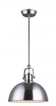  IPL222B01BN - Polo, 1 Head Rod Pendant, 100W Type A, 9" x (11 3/4"-59 3/4")