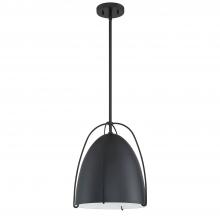  PF116-BLK - 1 LIGHT PENDANT