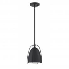  PF117-BLK - 1 LIGHT PENDANT