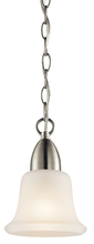  42880NI - Mini Pendant 1Lt