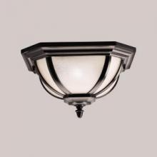  9848BK - Outdoor Ceiling 2Lt