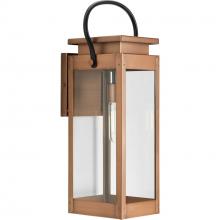 Progress P560006-169 - P560006-169 1-L WALL LANTERN