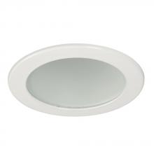  216WH - 4" Line Voltage Shower Trim - White w/ Frosted Glass