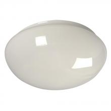  810212-G - White Mushroom Glass