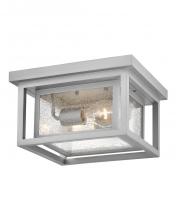  1003SI - Small Flush Mount