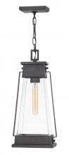  1138AC - Medium Hanging Lantern