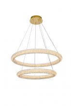  3800G32SG - Bowen 32 Inch Adjustable LED Chandelier in Satin Gold