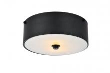  LD6024 - Hazen 2 Light 12 Inch Flat Black Flush Mount