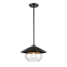  DVP42310MF+GR-CL - Chevalier 12 Inch Pendant