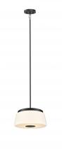  DVP48520EB-TO - Robson Hall 13" Pendant