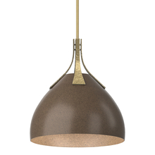 Hubbardton Forge - Canada 134502-SKT-MULT-86-05 - Summit Pendant