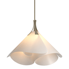  134503-SKT-MULT-84-SH1990 - Mobius Large Pendant