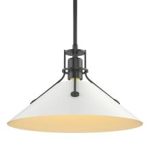  134550-SKT-MULT-10-02 - Henry Medium Steel Shade Pendant