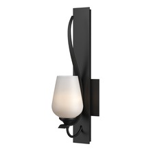  203035-SKT-10-GG0303 - Flora Sconce