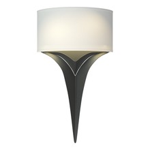  205315-SKT-20-SE1092 - Calla Sconce