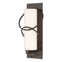  302403-SKT-75-GG0037 - Olympus Large Outdoor Sconce