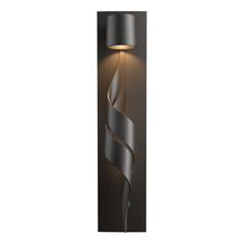  303090-SKT-14 - Flux Dark Sky Friendly Outdoor Sconce