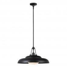  PD344020UBGO - Palmetto 20-in Urban Bronze/Glossy Opal 1 Light Pendant