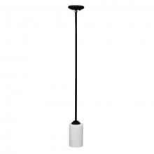  229-601/ST - Iris Pendants Black