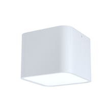  99281A - Grimasola 1-Light Flush Mount