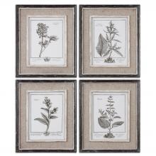  32510 - Casual Grey Study Framed Art Set/4