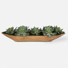  60205 - Uttermost Yuma Succulent Centerpiece