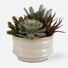  60209 - Uttermost Mesa Succulent Accent