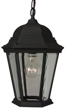  Z251-TB - Straight Glass Cast 1 Light Outdoor Pendant in Textured Black