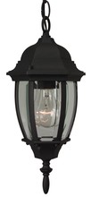  Z261-TB - Bent Glass 1 Light Outdoor Pendant in Textured Black